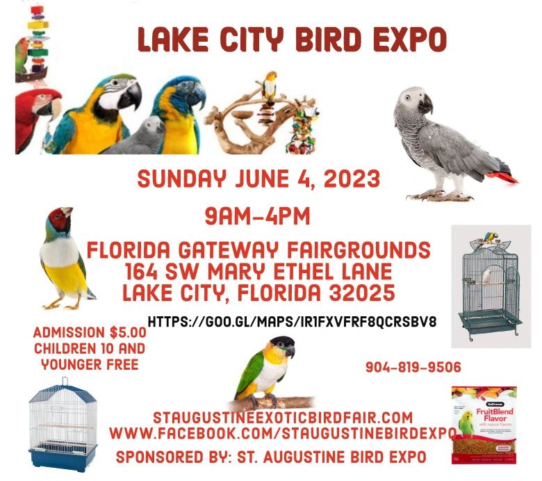 Saint Augustine Bird Expo